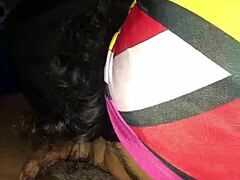 Cheating Devours While Taking Hard