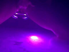 Solo Vixen's Forbidden Escape