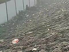 Indian Aunty's Wild Outdoor Celebration