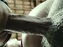 Blowjob Bliss: Deep Sensual Journey