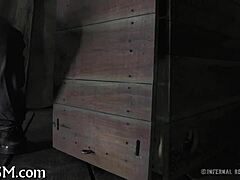 EXTREME BDSM POWER PLAY