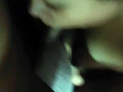 experience sensual melody tonight