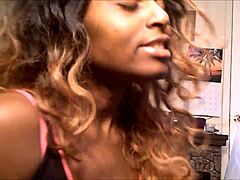 Sizzling HD Twerking Show