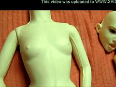 LOVE DOLLS' SIZZLING SHOWCASE