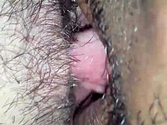 craving to taste that sweet stallion pussy