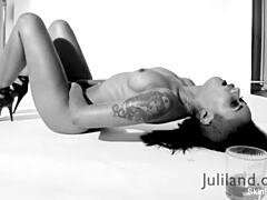black beauty's solo heat