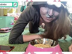 Finest Live Cam Moments