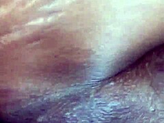 Tattooed Star Sparks Pure Laughter