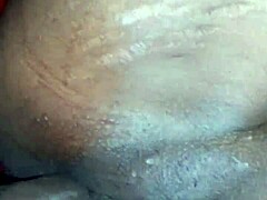 Tattooed Star Sparks Pure Laughter
