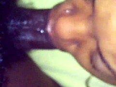 Sucking Cock Hard With Relentless Passion