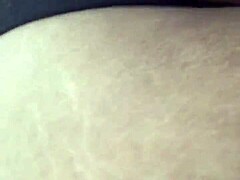 Lilottes Hentai Erotic Journey