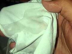 Venida Lace Panties Drenched in Heat