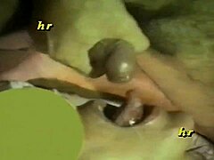 Secret Lovebird Affair Revealed Now