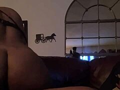 black beauty's fierce ride