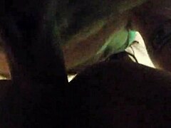 Horny Babe’s Wild Encounter