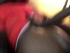 Curvy ebony shines in hot doggy play