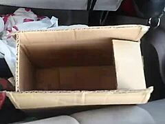 monster toy arrives for wild bedroom fun