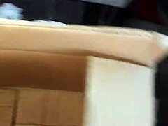 monster toy arrives for wild bedroom fun