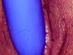 teasing toy play in my bedroom
