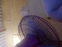 petite latina's cheeky curves beg for a tease