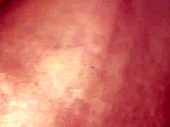 ALASKAN INTENSE CORE