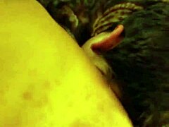 dare to watch her hairy beaver pounded from behind?