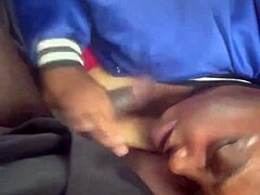 dive into bold throbbing ecstasy