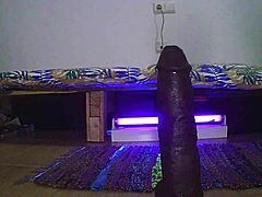 Dive into anal amateur action