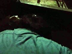 Big Chick Piped Hard In Garage After Hours