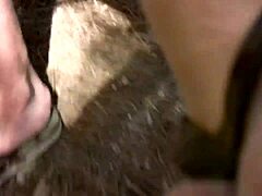 Brunette Vixen Savors Massive Shaft