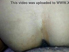 AMATEUR MILFS CREAMED IN HD