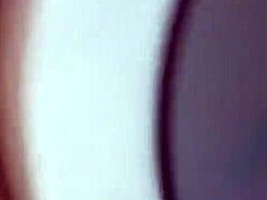 WET FANTASIES UNLEASHED
