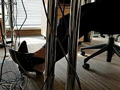 WORKPLACE SHOEPLAY DRAMA