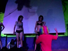 bikini contest heats up at tamborazzo club