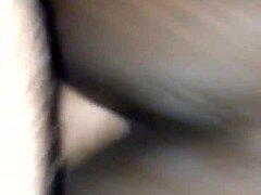 raw interracial heat with babe