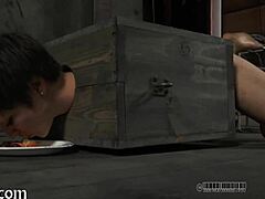 Lusty angel's fierce facial torment