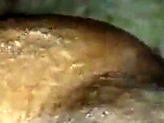 INDIAN BHABHI'S ESSENCE SAVORED SECRETLY