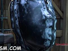 Hardcore Fuck Session In Xv-4919a58e3985391be0fbcf240358b2fe
