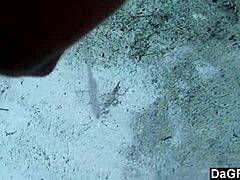 Dagfs - She Flashes Ass And Sucks Outdoors