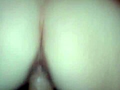 my sharyn riding thick cock once more