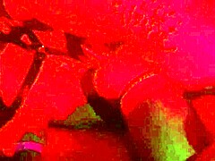 sadic and wagner vittoria fuck bareback hard