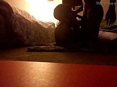 Group Passion with Black Beauty