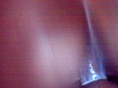 American Ebony Amateur Charm