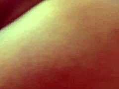 Hidden Curves in Secret View
