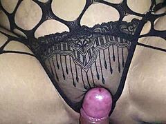 Steamy couples dazzle in lace allure