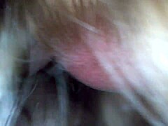 Relentless POV Blowjob from My Amateur Wife