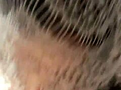 Brazilian Beauties Ravished with Fire