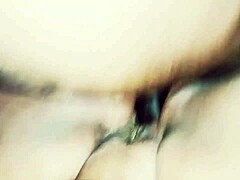 have you tasted a bbw pussy like mine before?