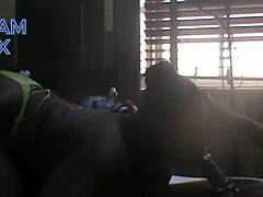 Big Booty Babe Seeks Raw Thrill