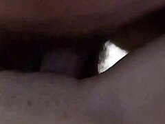 Old and young amateurs slam hard